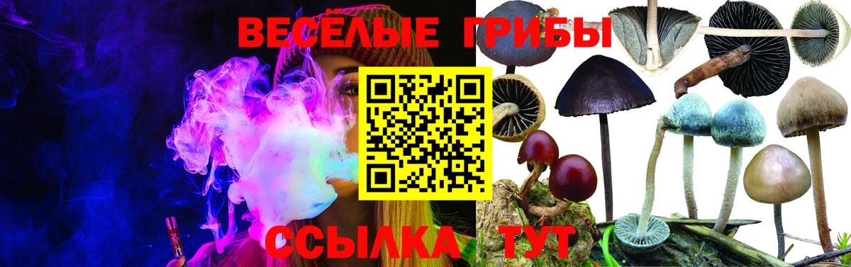Галлюциногенные грибы мицелий  Вход с VPN  Санкт-Петербург 
